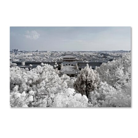 Trademark Fine Art Philippe Hugonnard 'White Nature' Canvas Art, 16x24 PH0497-C1624GG